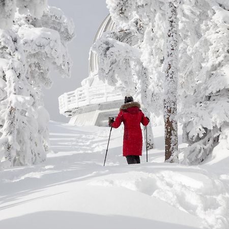 Chalets Du Domaine - De Luxe Notre-Dame-Des-Bois Kültér fotó